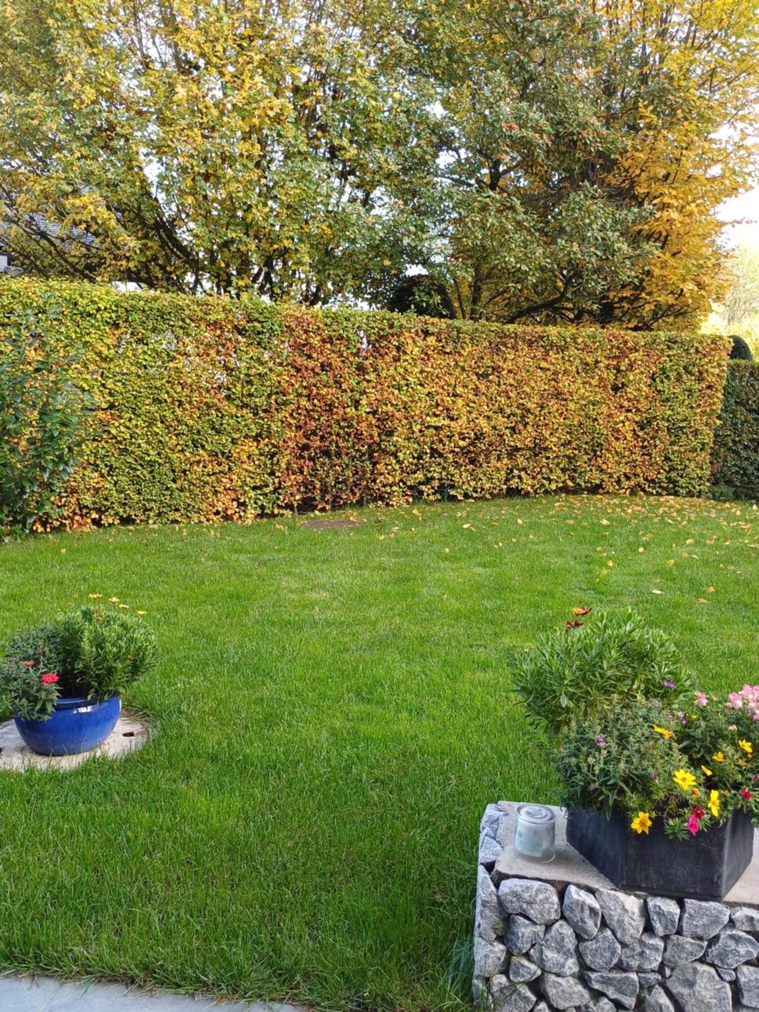 Ferienwohnung Claudia Mit Terrasse 널스돌프앰아테시 외부 사진