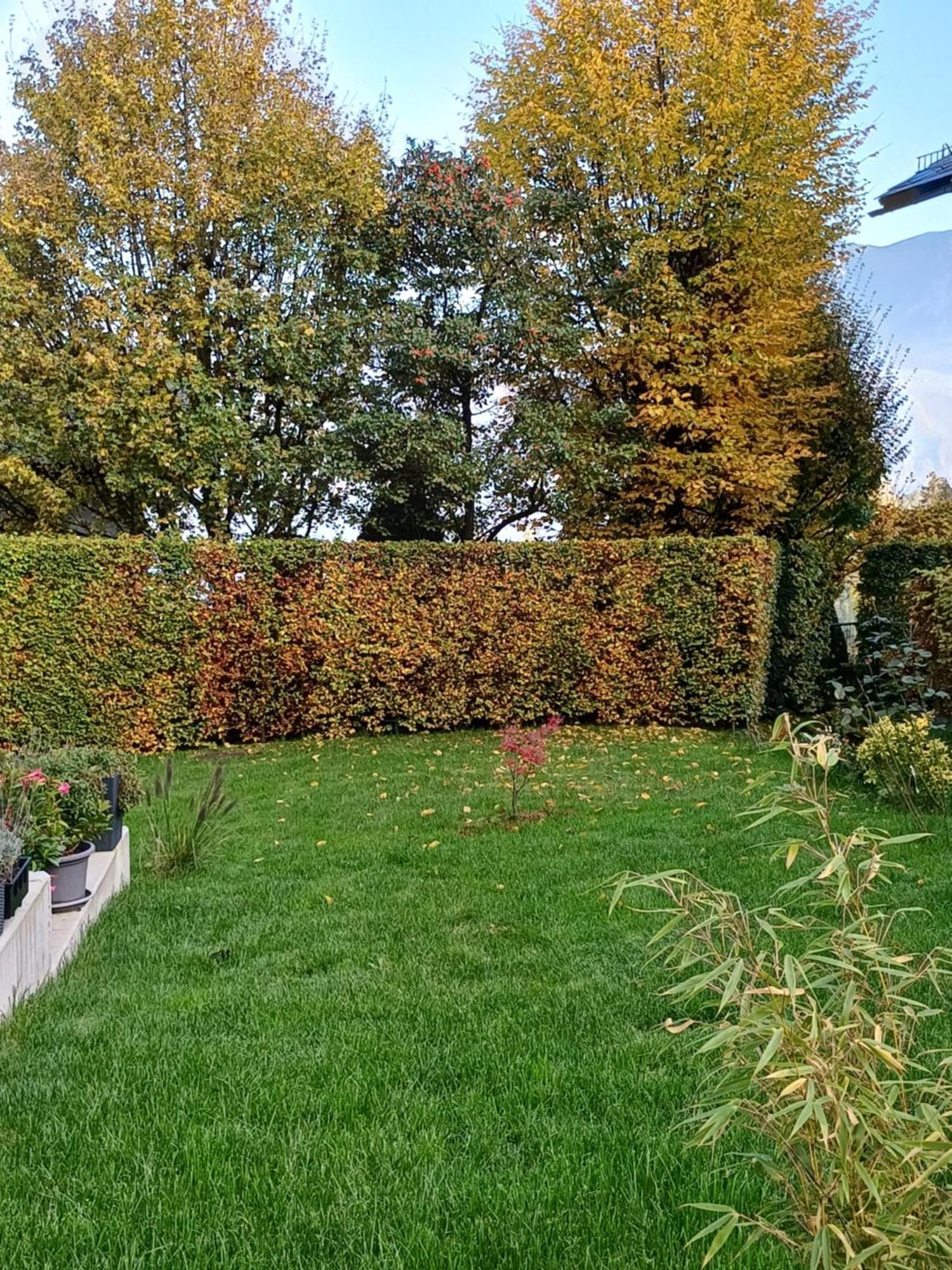 Ferienwohnung Claudia Mit Terrasse 널스돌프앰아테시 외부 사진